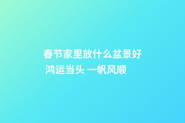 春节家里放什么盆景好 鸿运当头 一帆风顺